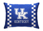 NCAA Standard Logo Stripe Bed Pillow