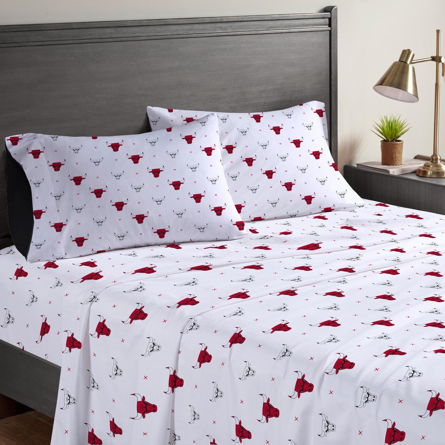 NBA Small X Queen Sheet Set