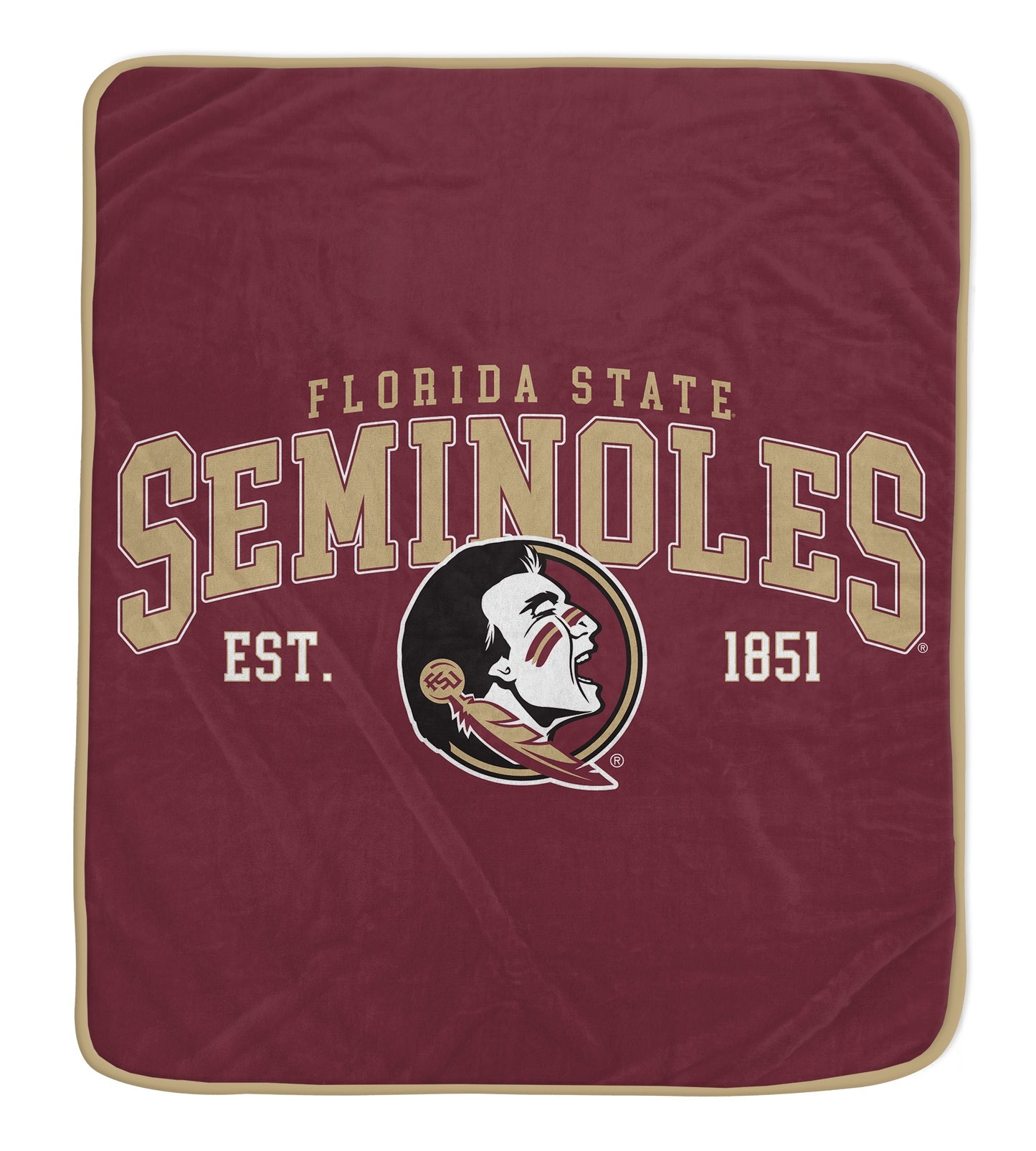 NCAA Vintage Arch Block Ultra Soft 50x60 Throw Blanket