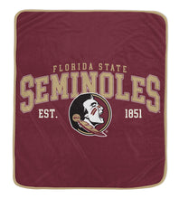 Load image into Gallery viewer, NCAA Vintage Arch Block Ultra Soft 50x60 Throw Blanket
