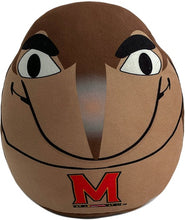 Load image into Gallery viewer, NCAA Plushie Mascot Pillow w/ features
