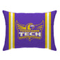NCAA Standard Stripe Logo Bed Pillow