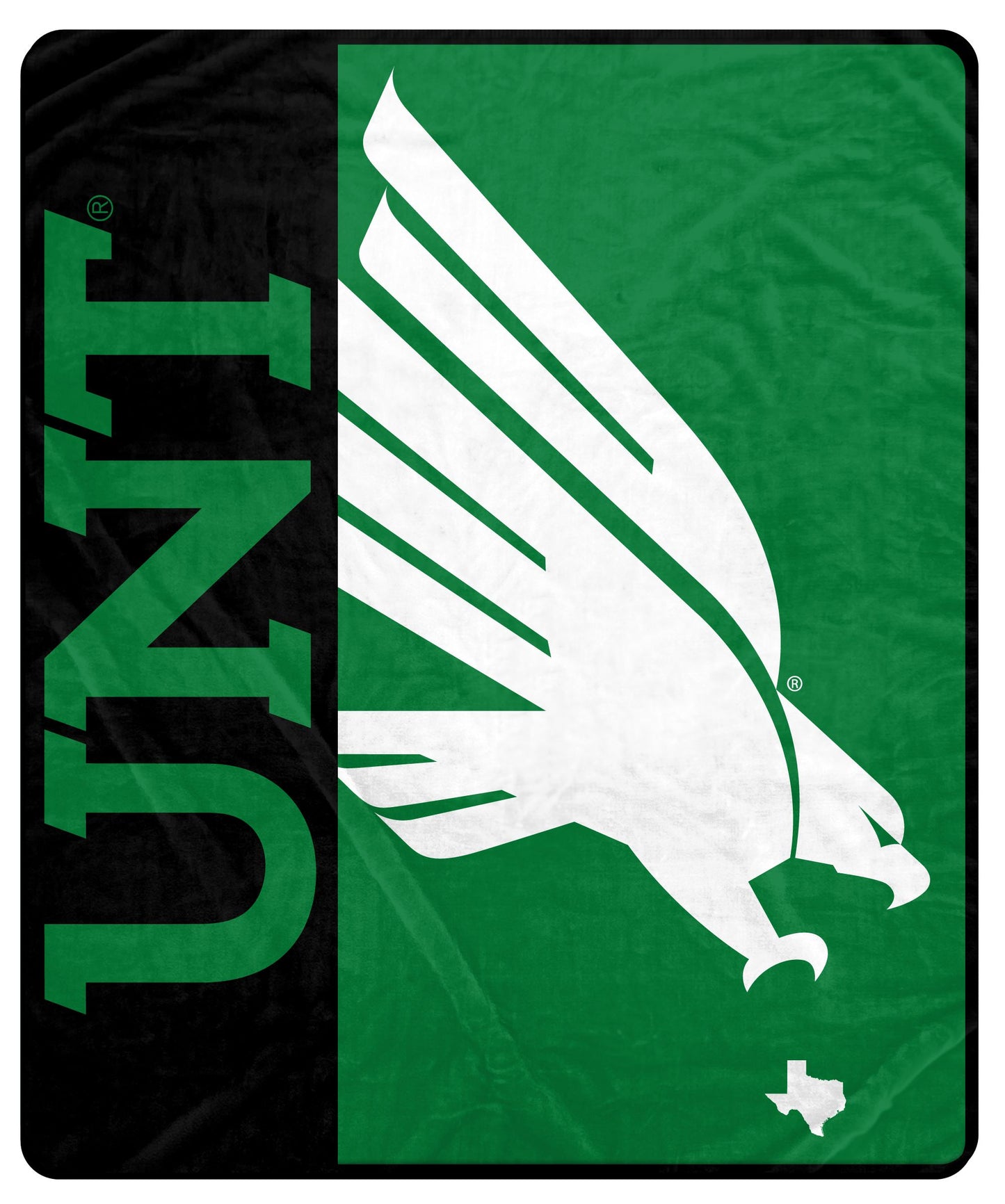 NCAA Endzone Ultra Soft Tailgate Throw