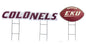 NCAA Wordmark & Football 3 Pack Yard Sign Set
