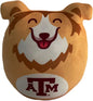 NCAA Plushie Mascot Pillow w/ features