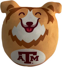 Load image into Gallery viewer, NCAA Plushie Mascot Pillow w/ features
