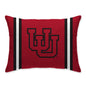 NCAA Standard Stripe Logo Bed Pillow