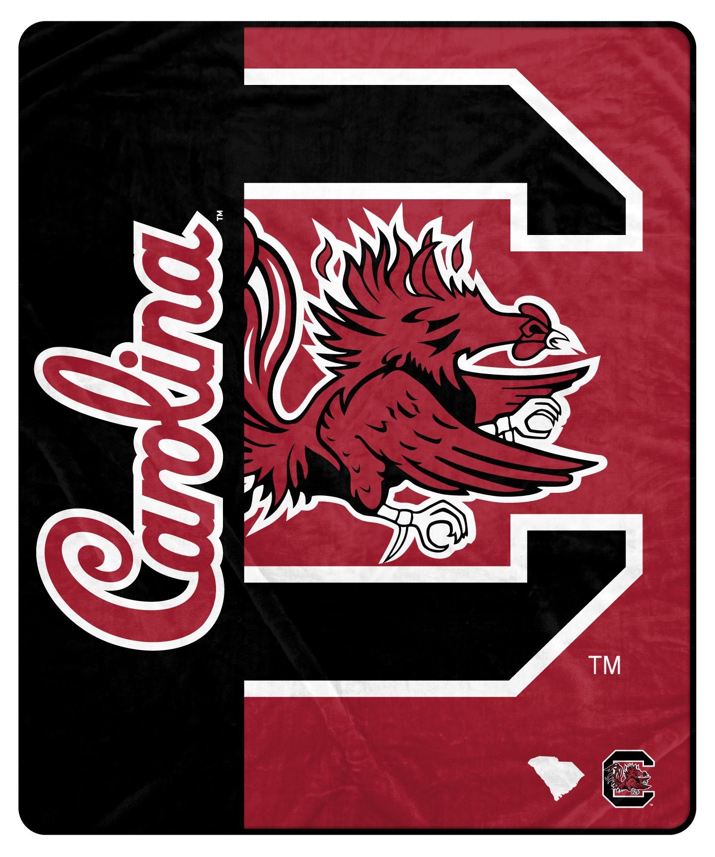 NCAA Endzone Ultra Soft Tailgate Throw